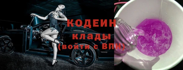 ПСИЛОЦИБИНОВЫЕ ГРИБЫ Арсеньев