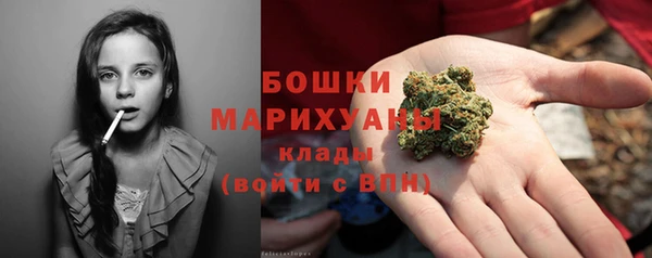 ПСИЛОЦИБИНОВЫЕ ГРИБЫ Арсеньев